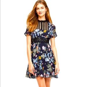 Foxiedox dress size M